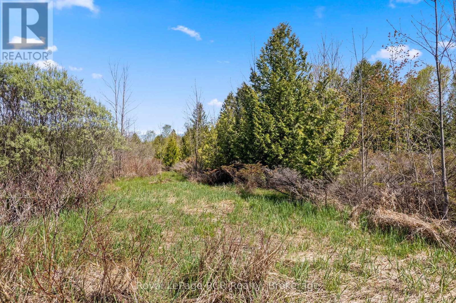 N/a Sutter Road Road W, Northern Bruce Peninsula, Ontario  N0H 1W0 - Photo 29 - X13212422