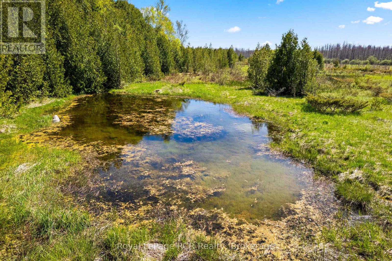 N/a Sutter Road Road W, Northern Bruce Peninsula, Ontario  N0H 1W0 - Photo 22 - X13212422