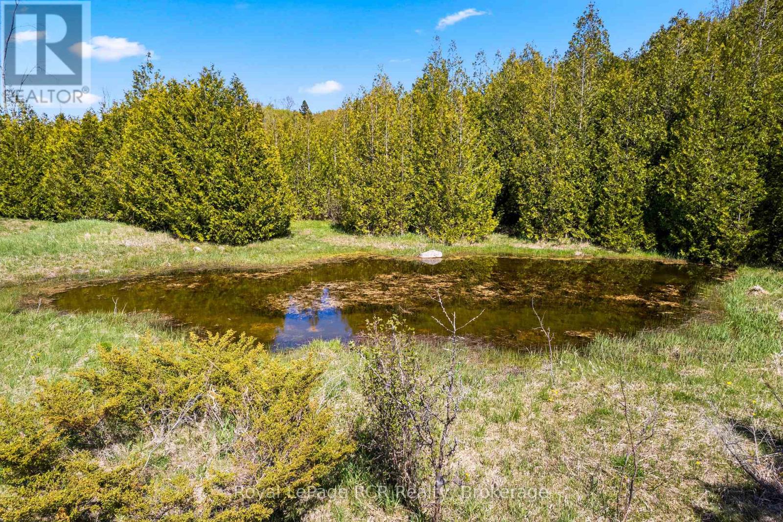 N/a Sutter Road Road W, Northern Bruce Peninsula, Ontario  N0H 1W0 - Photo 21 - X13212422