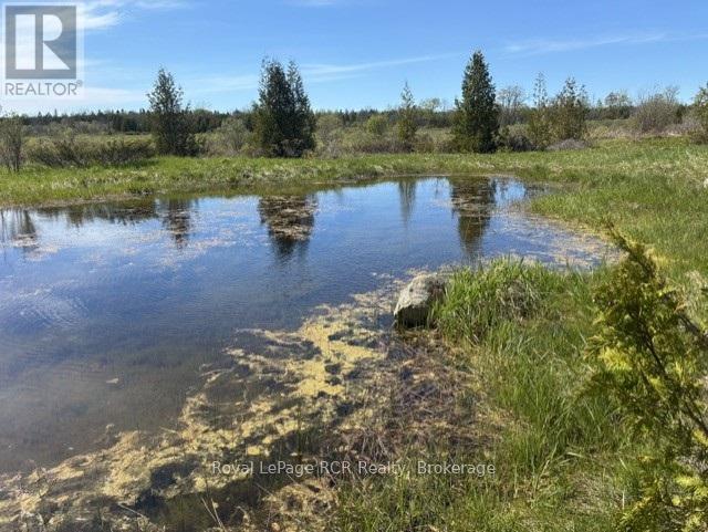 N/a Sutter Road Road W, Northern Bruce Peninsula, Ontario  N0H 1W0 - Photo 3 - X13212422