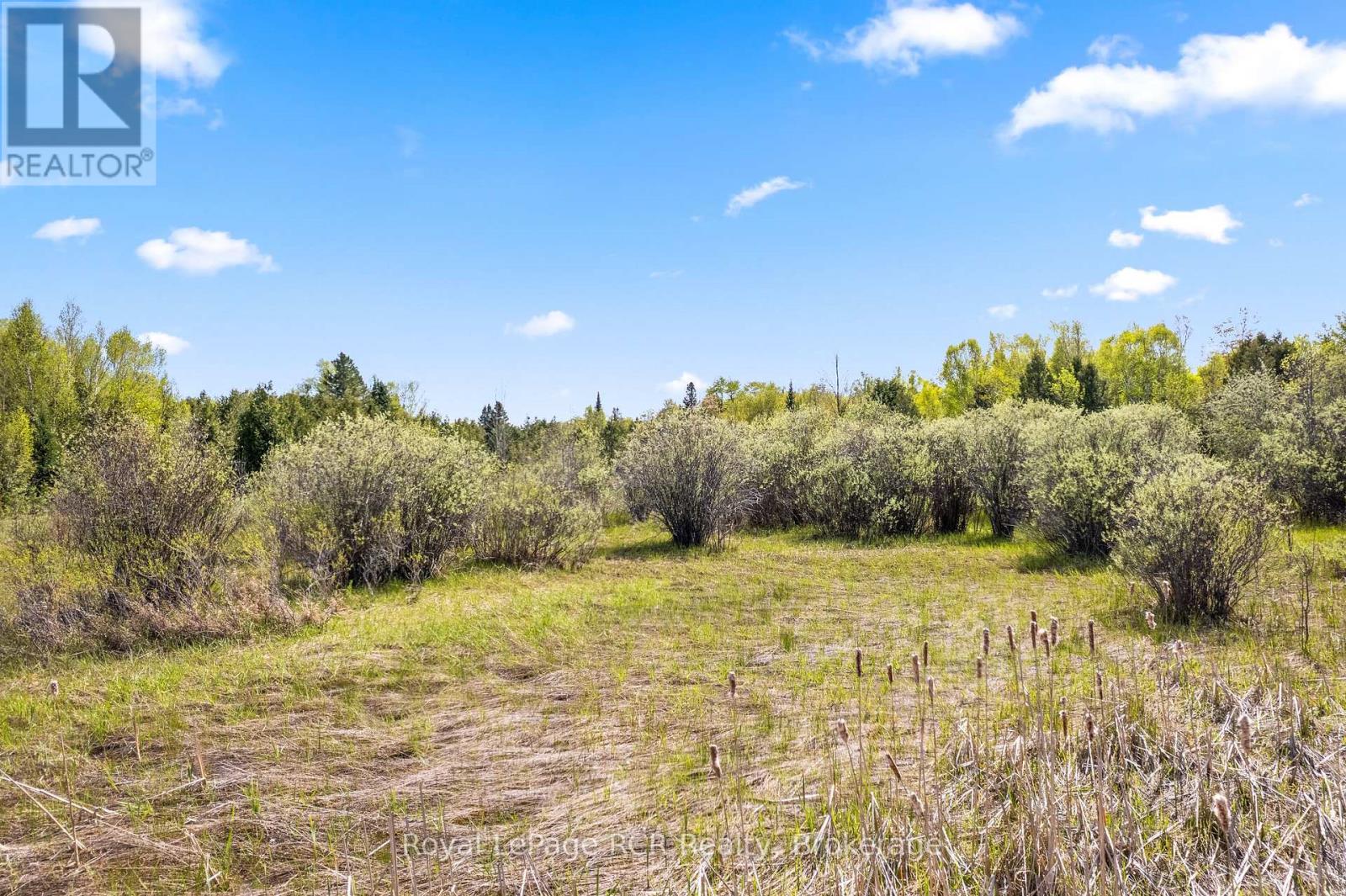 N/a Sutter Road Road W, Northern Bruce Peninsula, Ontario  N0H 1W0 - Photo 26 - X13212422