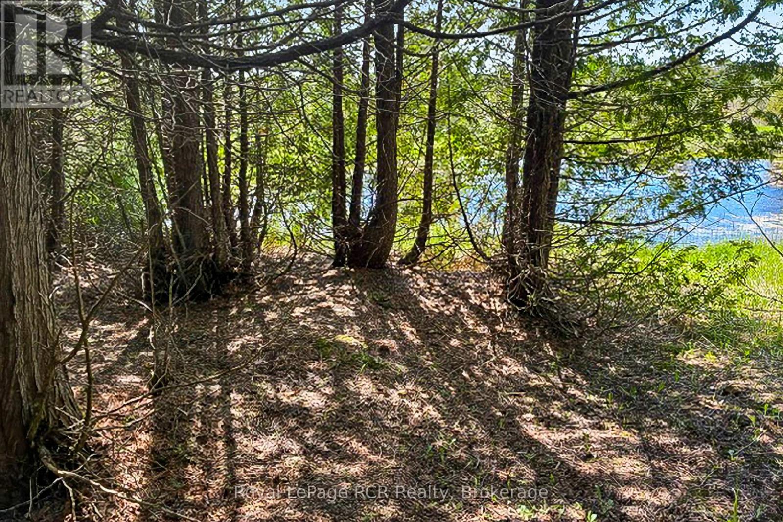 N/a Sutter Road Road W, Northern Bruce Peninsula, Ontario  N0H 1W0 - Photo 24 - X13212422
