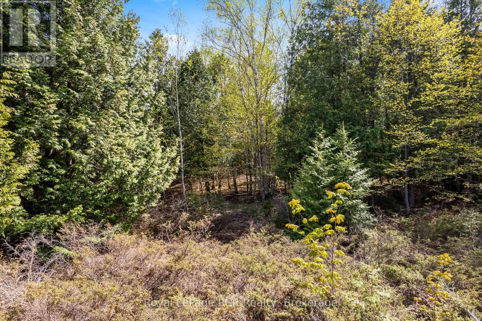 N/a Sutter Road Road W, Northern Bruce Peninsula, Ontario  N0H 1W0 - Photo 30 - X13212422