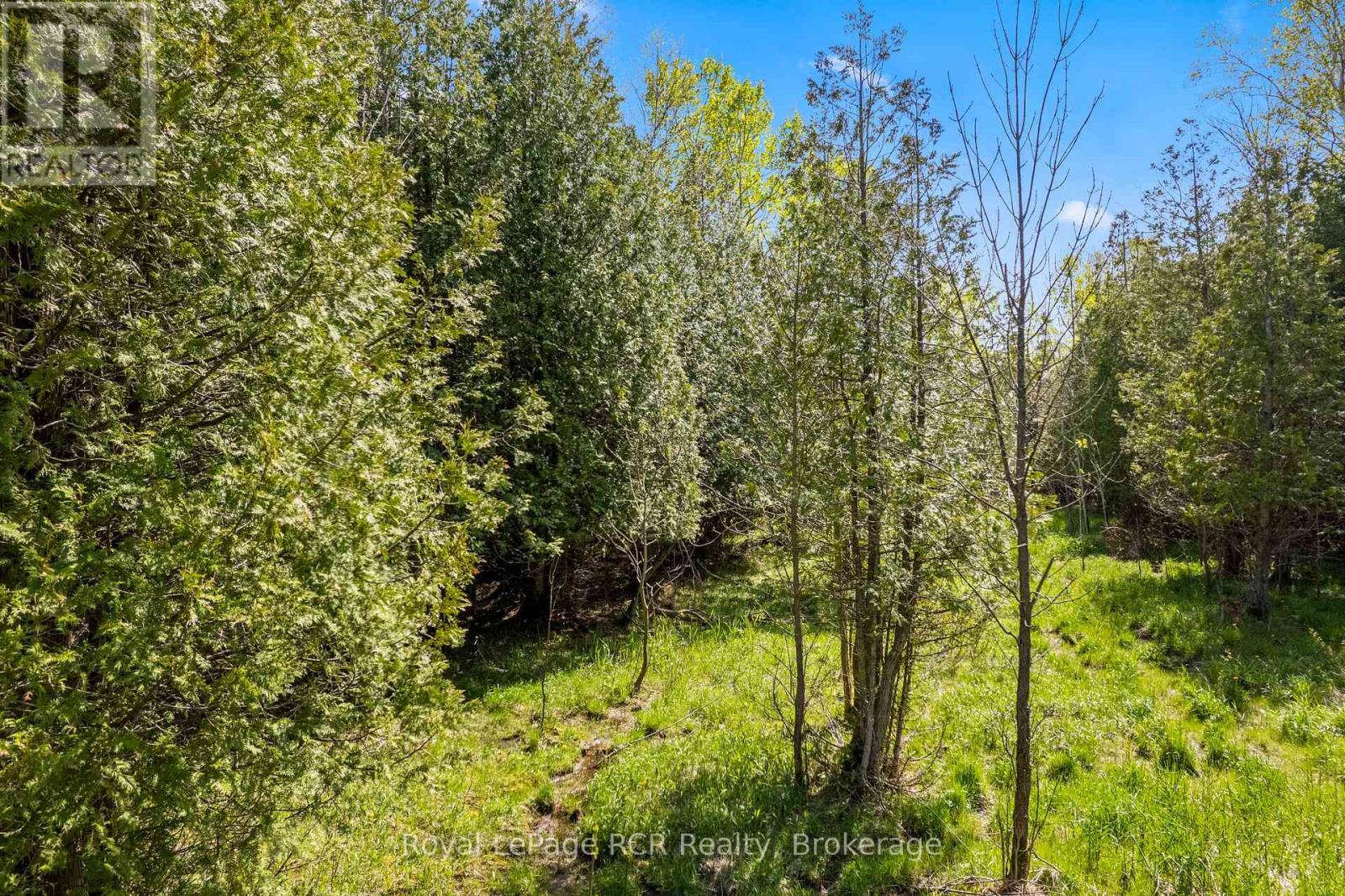 N/a Sutter Road Road W, Northern Bruce Peninsula, Ontario  N0H 1W0 - Photo 32 - X13212422