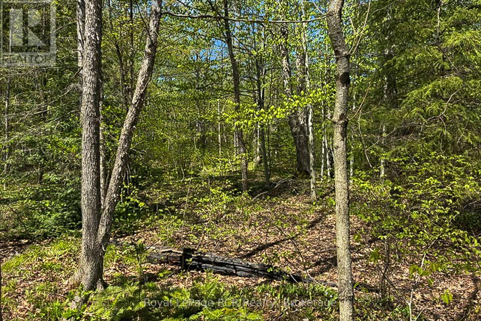 N/a Sutter Road Road W, Northern Bruce Peninsula, Ontario  N0H 1W0 - Photo 37 - X13212422
