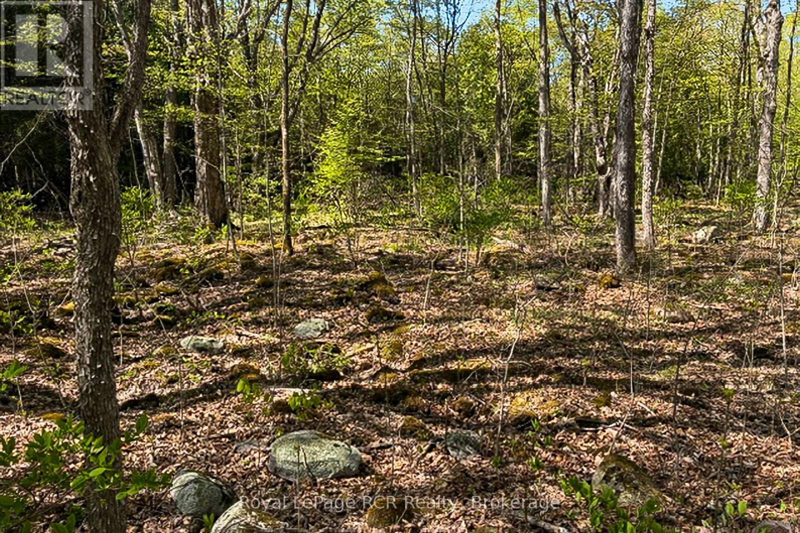 N/a Sutter Road Road W, Northern Bruce Peninsula, Ontario  N0H 1W0 - Photo 39 - X13212422