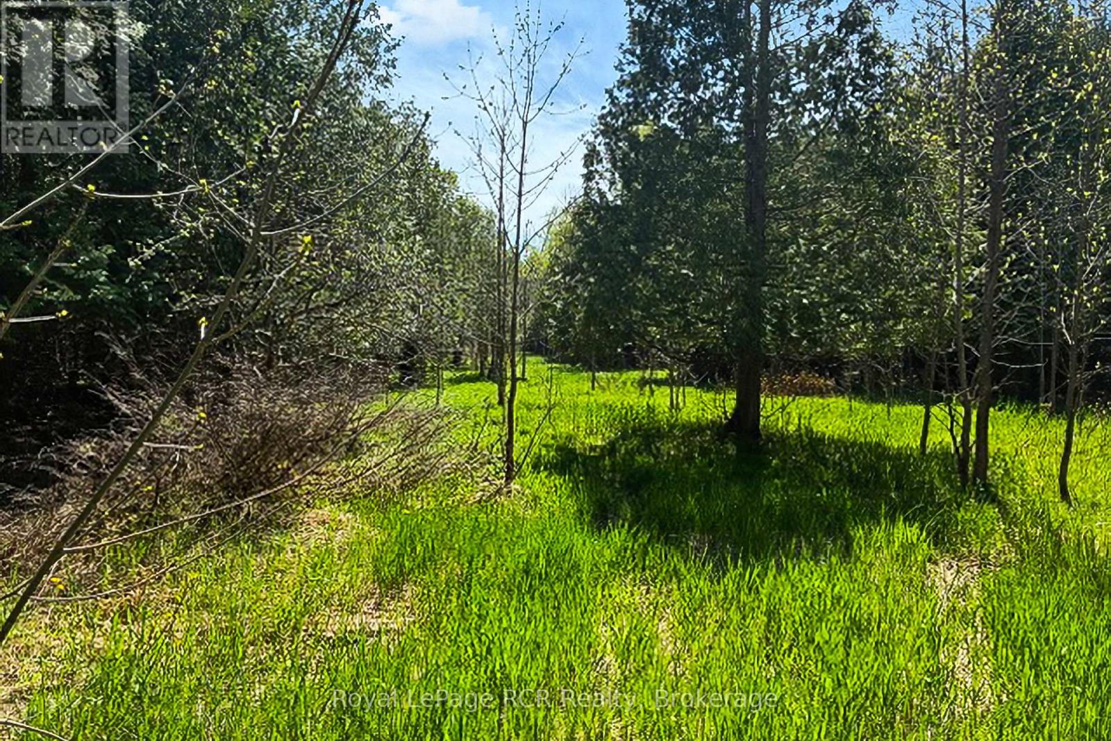 N/a Sutter Road Road W, Northern Bruce Peninsula, Ontario  N0H 1W0 - Photo 33 - X13212422