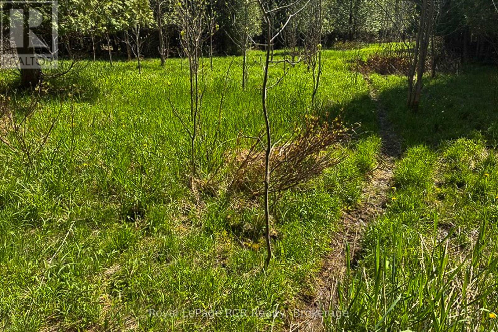 N/a Sutter Road Road W, Northern Bruce Peninsula, Ontario  N0H 1W0 - Photo 35 - X13212422