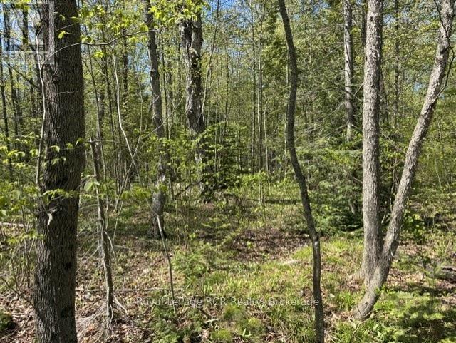 N/a Sutter Road Road W, Northern Bruce Peninsula, Ontario  N0H 1W0 - Photo 44 - X13212422