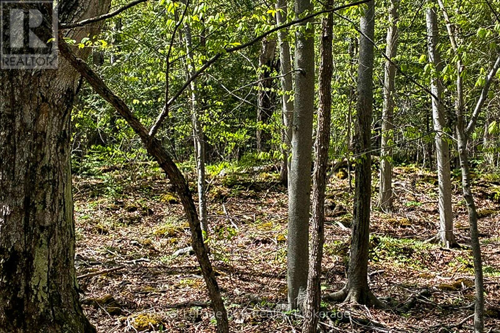 N/a Sutter Road Road W, Northern Bruce Peninsula, Ontario  N0H 1W0 - Photo 42 - X13212422