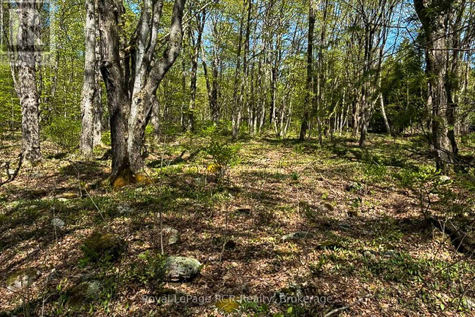 N/a Sutter Road Road W, Northern Bruce Peninsula, Ontario  N0H 1W0 - Photo 7 - X13212422