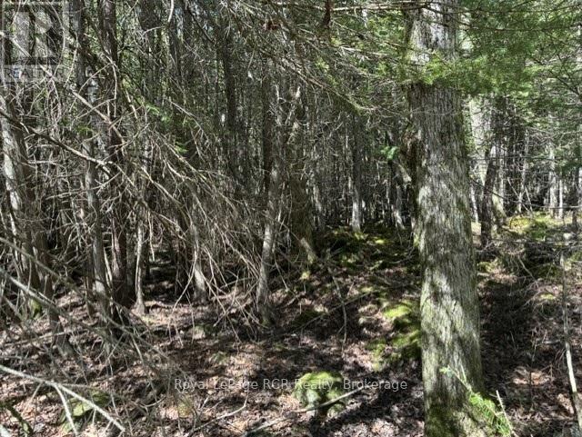 N/a Sutter Road Road W, Northern Bruce Peninsula, Ontario  N0H 1W0 - Photo 45 - X13212422