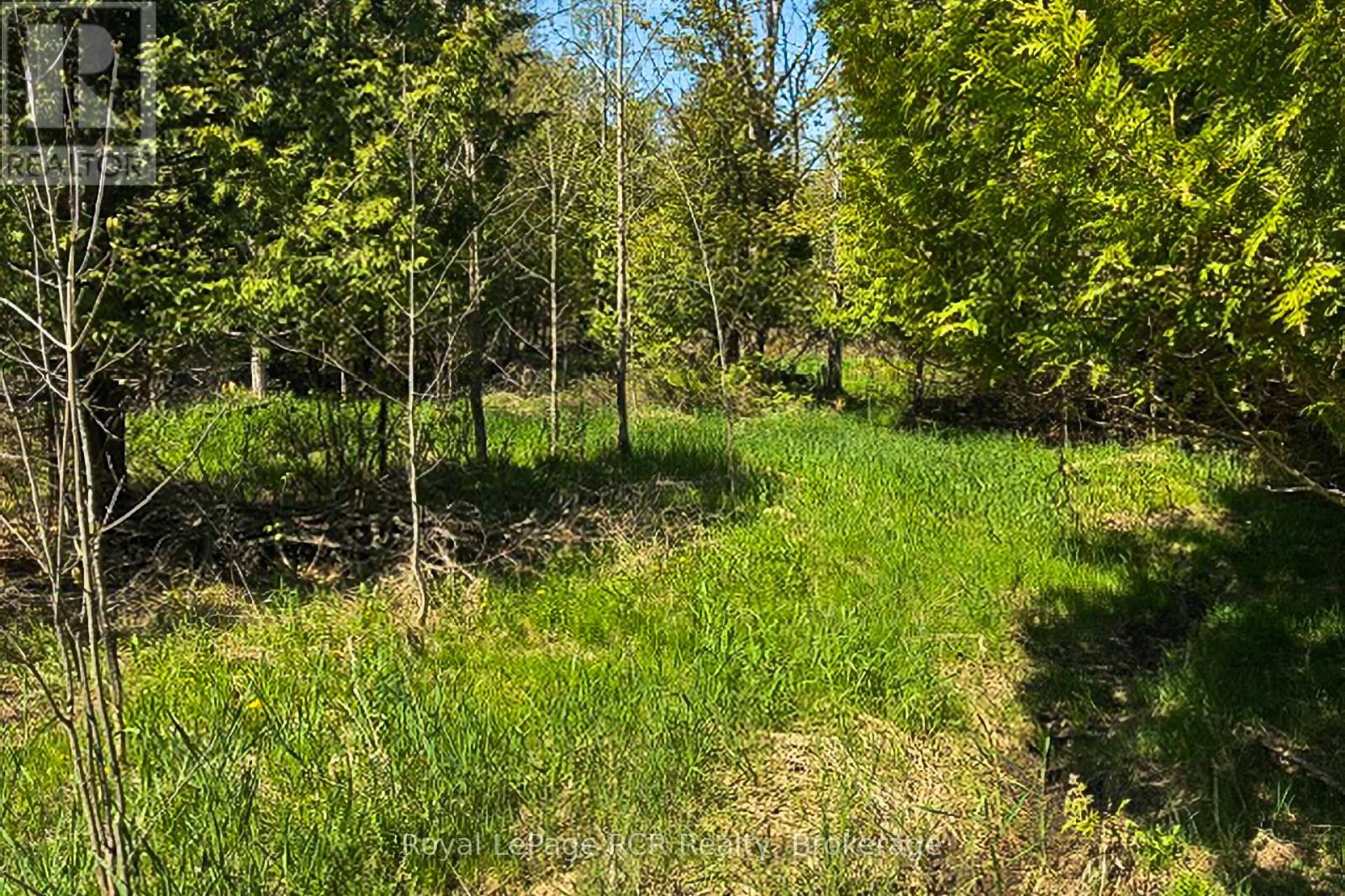 N/a Sutter Road Road W, Northern Bruce Peninsula, Ontario  N0H 1W0 - Photo 34 - X13212422