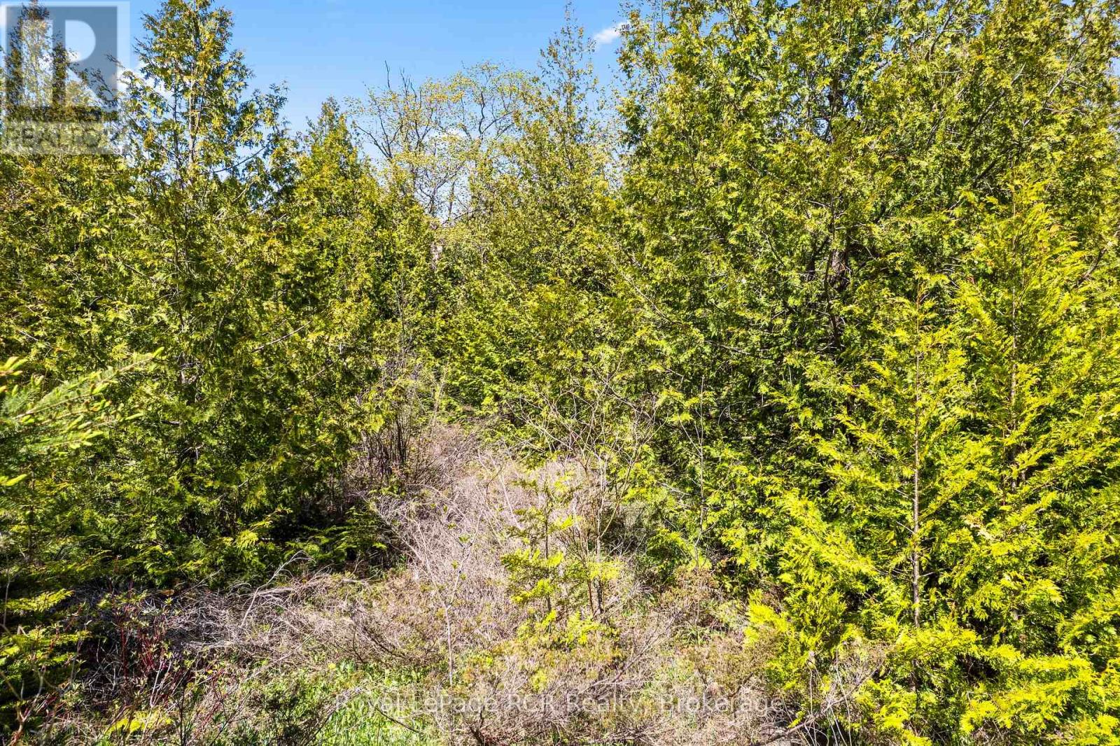 N/a Sutter Road Road W, Northern Bruce Peninsula, Ontario  N0H 1W0 - Photo 36 - X13212422