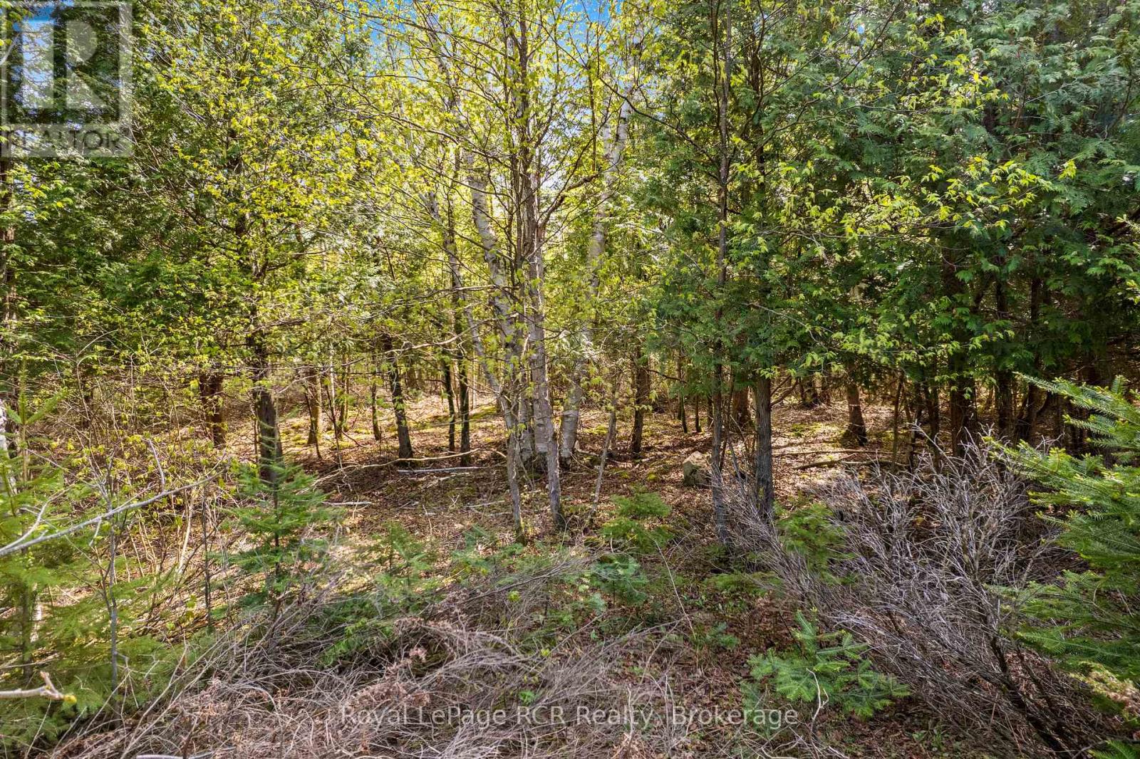 N/a Sutter Road Road W, Northern Bruce Peninsula, Ontario  N0H 1W0 - Photo 43 - X13212422