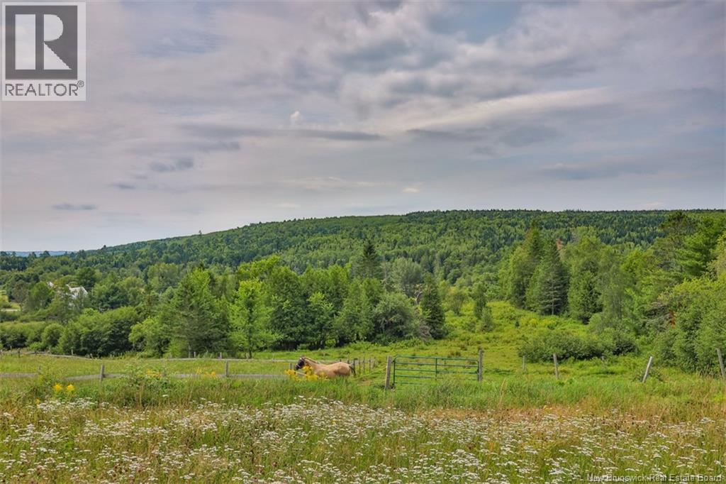 50 Kingsley Road, Estey's Bridge, New Brunswick  E3A 6E3 - Photo 15 - NB139605