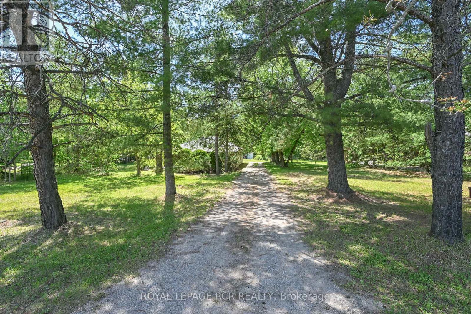7262 County Road 13, Adjala-Tosorontio, Ontario  L0M 1M0 - Photo 20 - N13633034