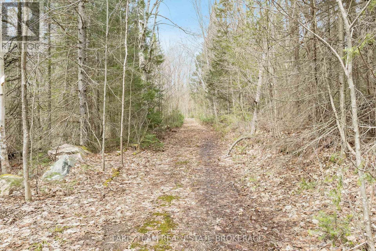 376 Riding Ranch Road, South River, Ontario  P0A 1X0 - Photo 31 - X13633308