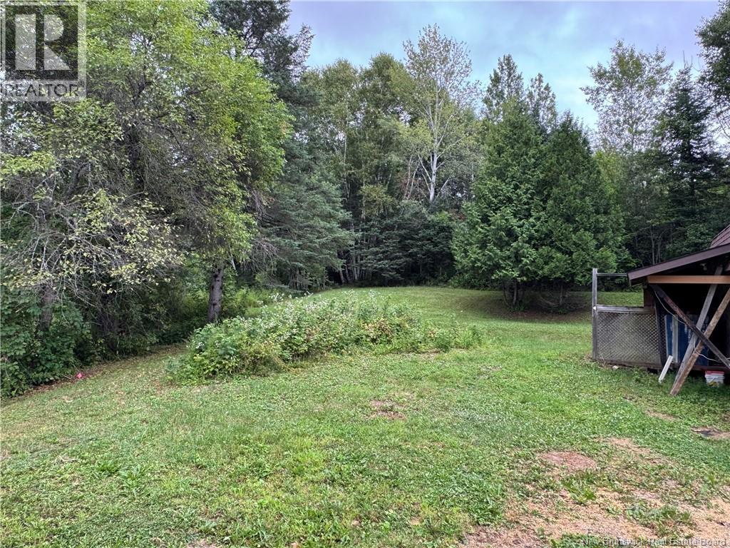 61 Hospital Street, Bath, New Brunswick  E7J 1B7 - Photo 46 - NB145243