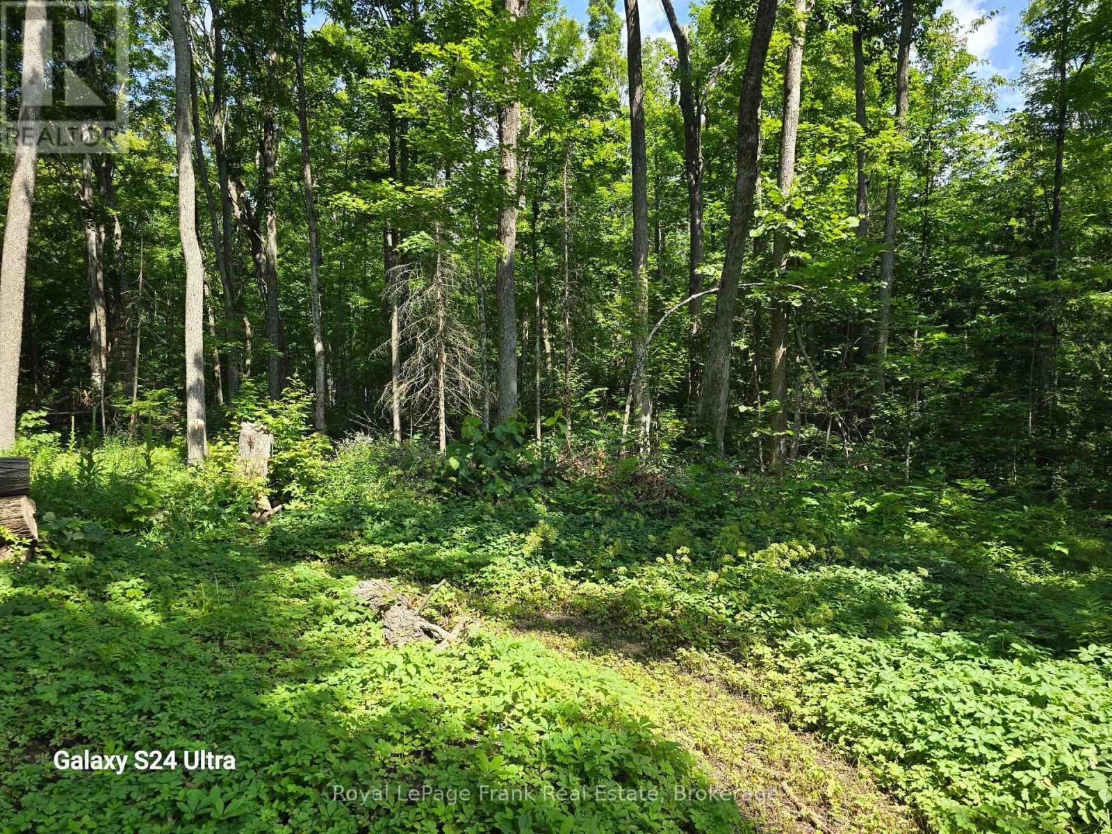 179 Northern Avenue, Trent Lakes, Ontario  K0M 1A0 - Photo 7 - X13633400