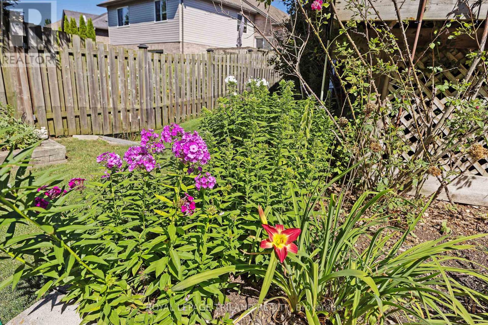 17 Jacklin Court, Central Elgin, Ontario  N5P 3T1 - Photo 39 - X13633430