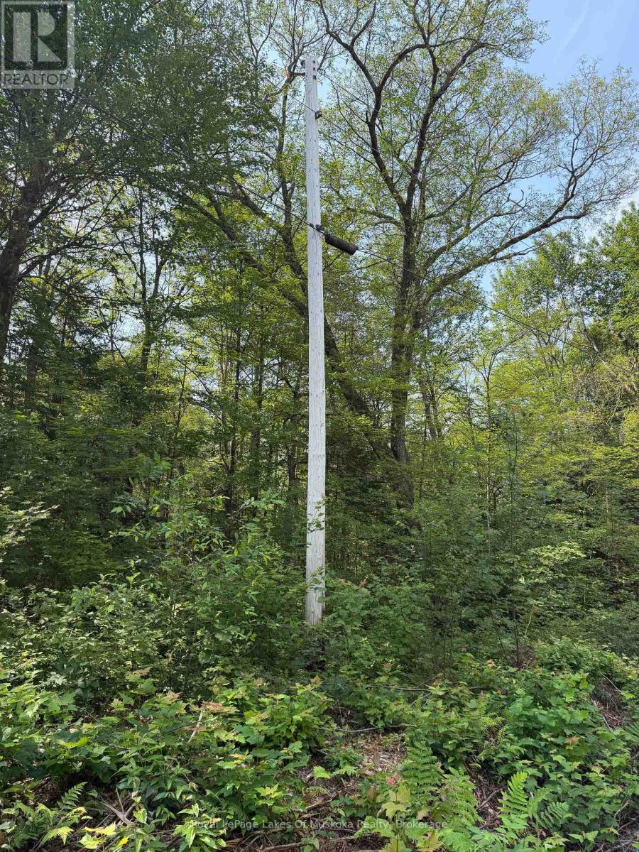 0 Stoney Road, Ryerson, Ontario  P0A 1C0 - Photo 5 - X13584512