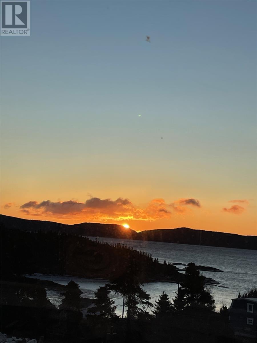 125a Main Street, Happy Adventure, Newfoundland & Labrador  A0G 1Z0 - Photo 43 - 1301103