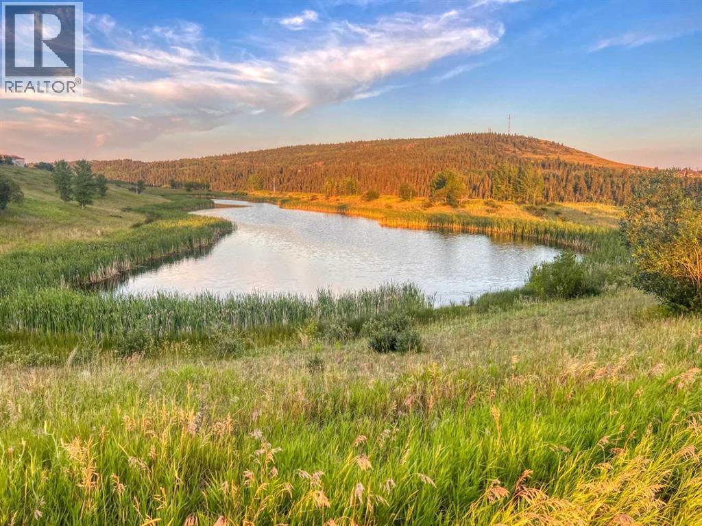92 Sunset Circle, Cochrane, Alberta  T4C 0C4 - Photo 39 - A2332906
