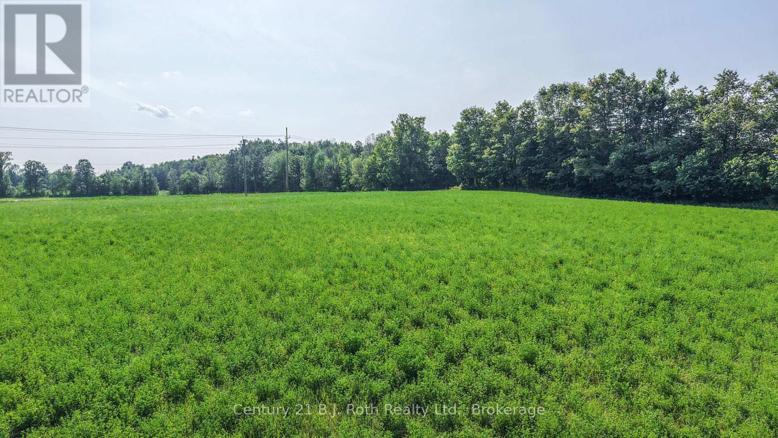 2403 Carlyon Line, Severn, Ontario  L3V 0W8 - Photo 8 - S13633584