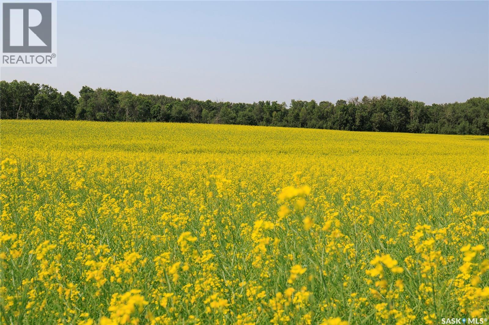 1 Quarter Grainland Near Hazelwood, SK (Walder), Hazelwood Rm No. 94, Saskatchewan