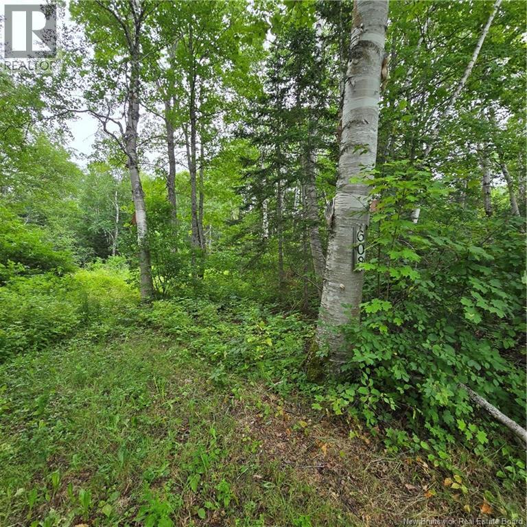 608 Rte 322, Sainte-Thérèse Sud, New Brunswick  E8K 2W4 - Photo 1 - NB145212