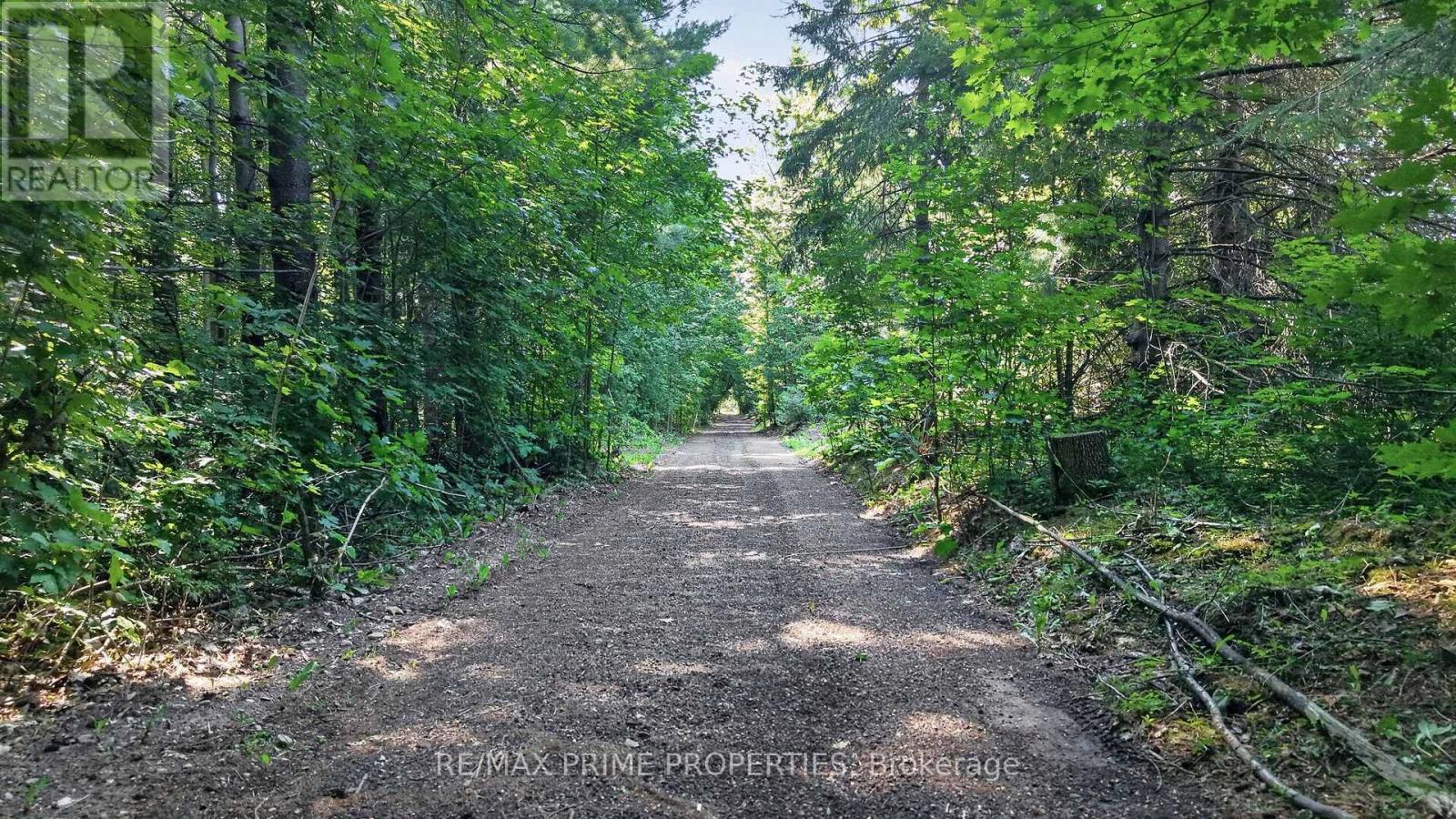 930 Scugog Line 9 Line, Uxbridge, Ontario  L9L 1B2 - Photo 4 - N13633548