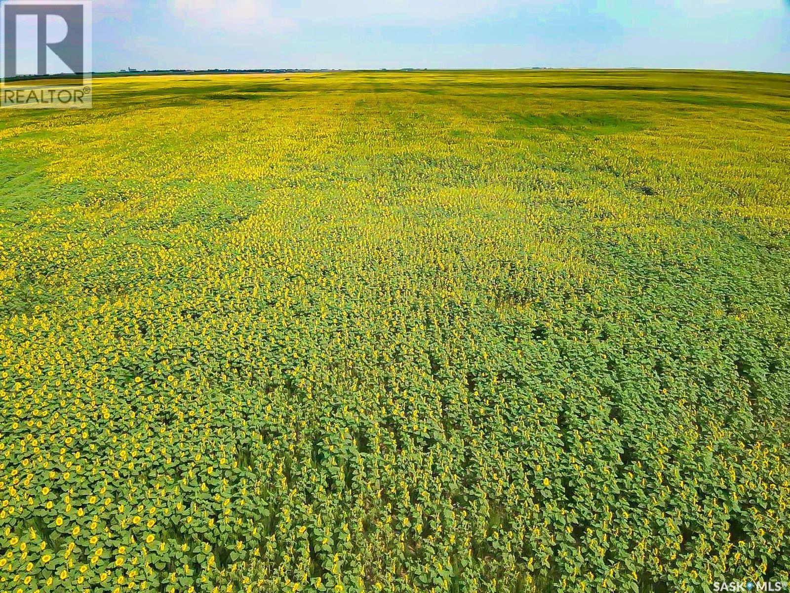 25 Quarter Sections - Rm Souris Valley, Souris Valley Rm No. 7, Saskatchewan  S0C 0E6 - Photo 2 - SK026710