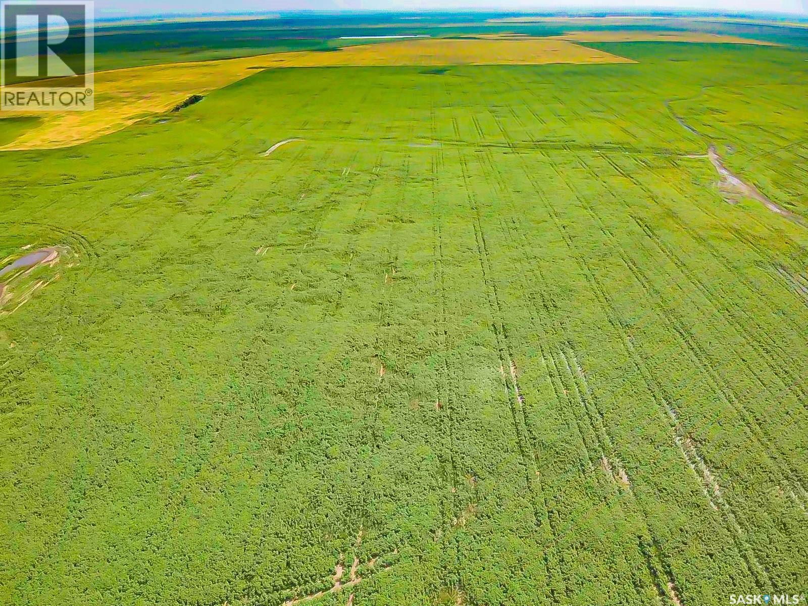 25 Quarter Sections - Rm Souris Valley, Souris Valley Rm No. 7, Saskatchewan  S0C 0E6 - Photo 25 - SK026710