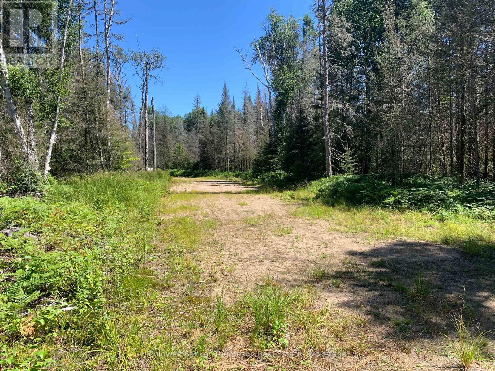 Lot 1 Brennan's Road, Joly, Ontario P0A 1Z0 - Photo 11 - X13634128