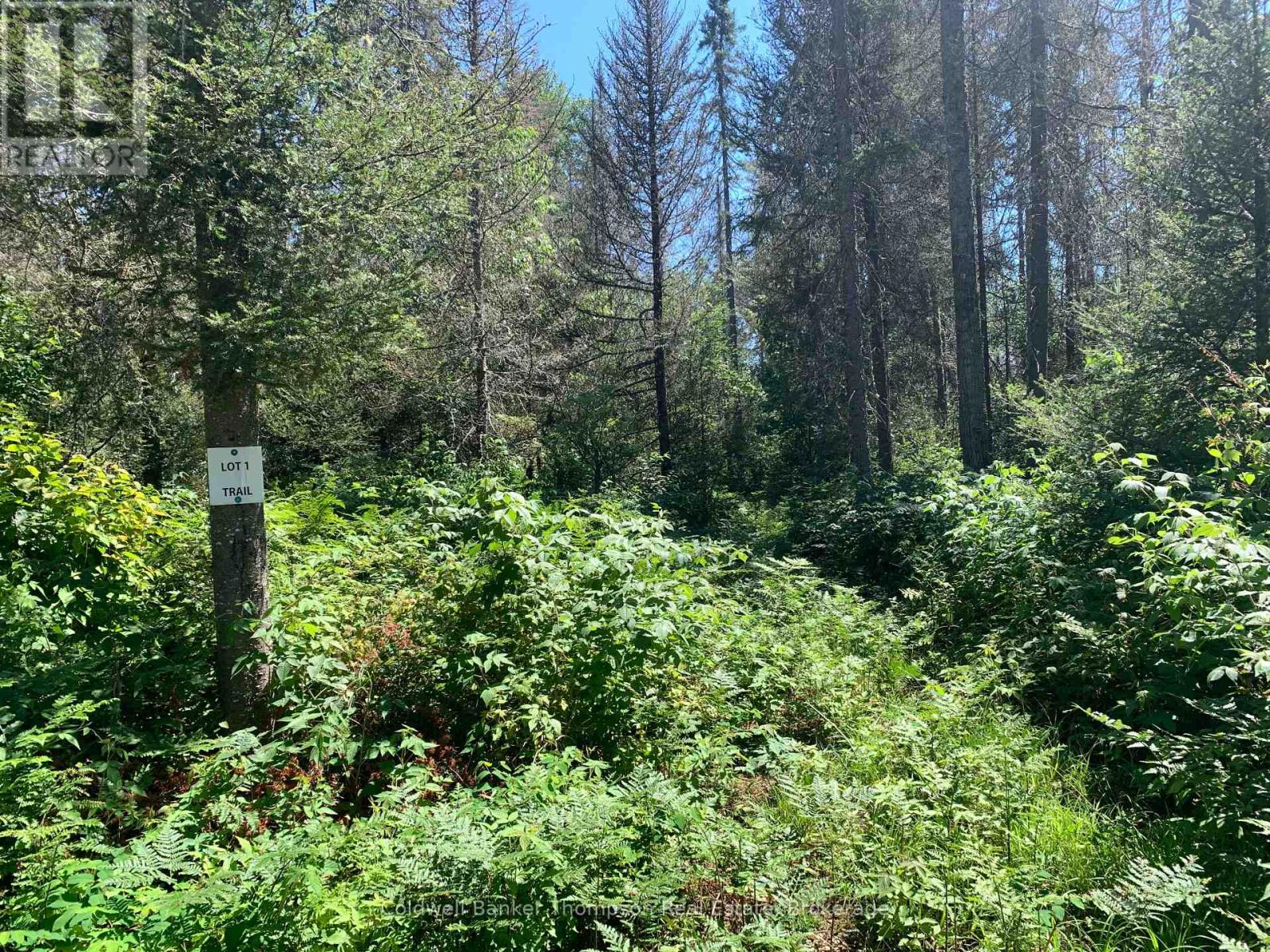Lot 1 Brennan's Road, Joly, Ontario P0A 1Z0 - Photo 4 - X13634128