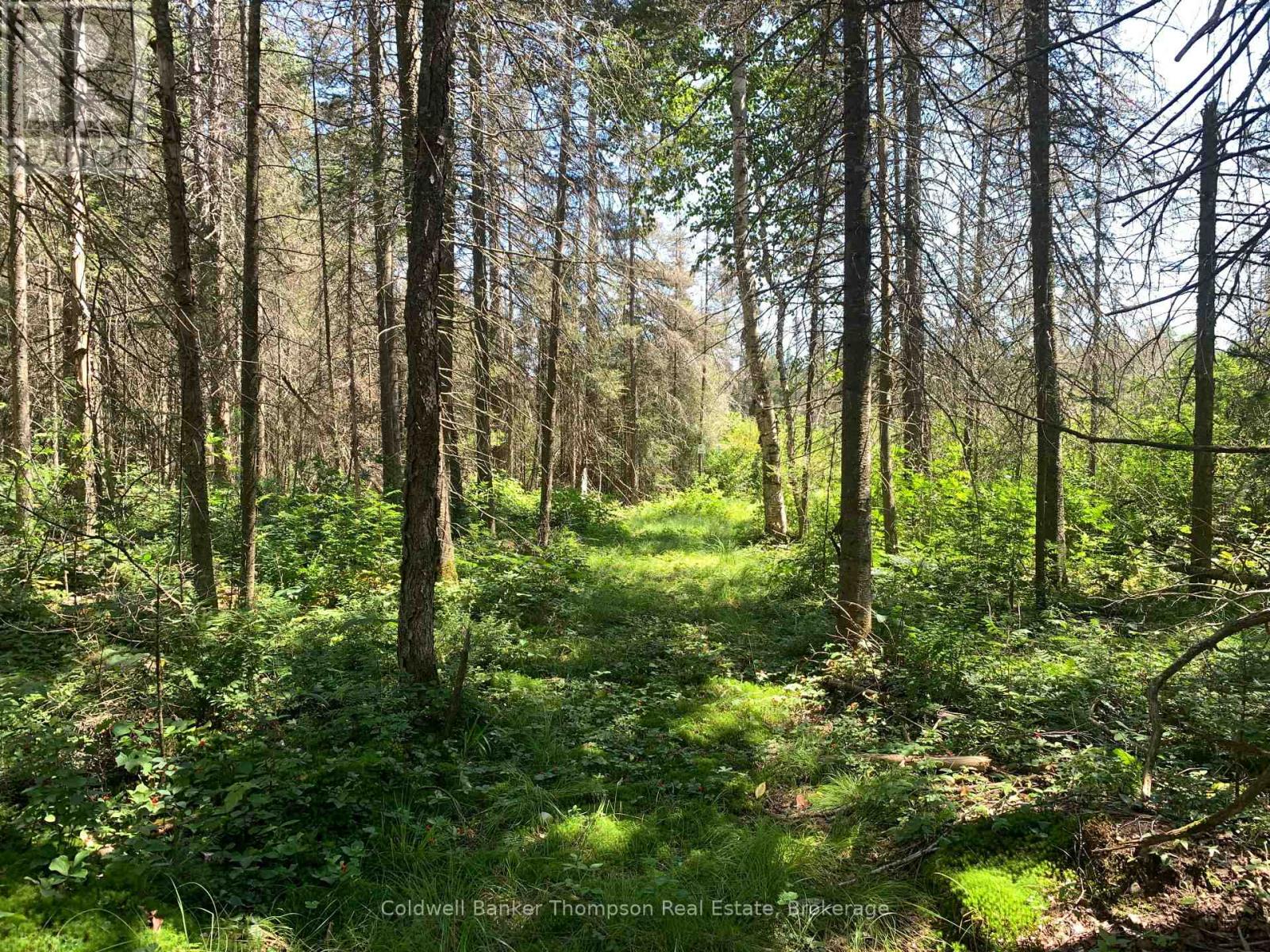 Lot 1 Brennan's Road, Joly, Ontario P0A 1Z0 - Photo 5 - X13634128