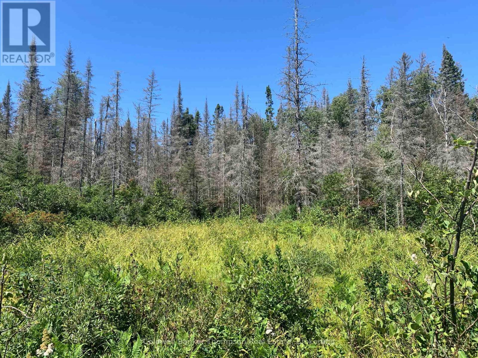 Lot 1 Brennan's Road, Joly, Ontario P0A 1Z0 - Photo 6 - X13634128