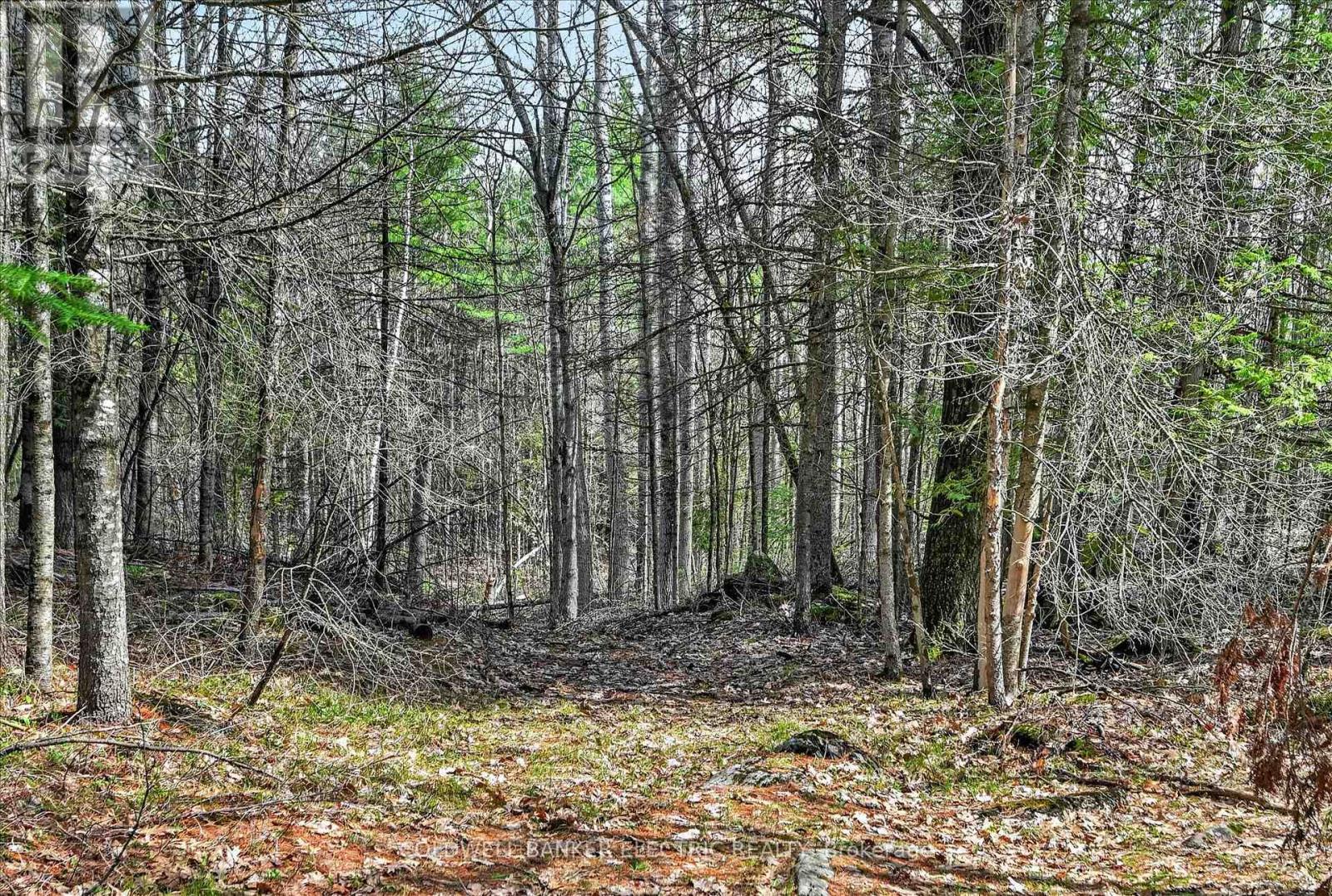 517 2nd Line Belmont, Havelock-Belmont-Methuen, Ontario  K0L 1Z0 - Photo 41 - X13634218