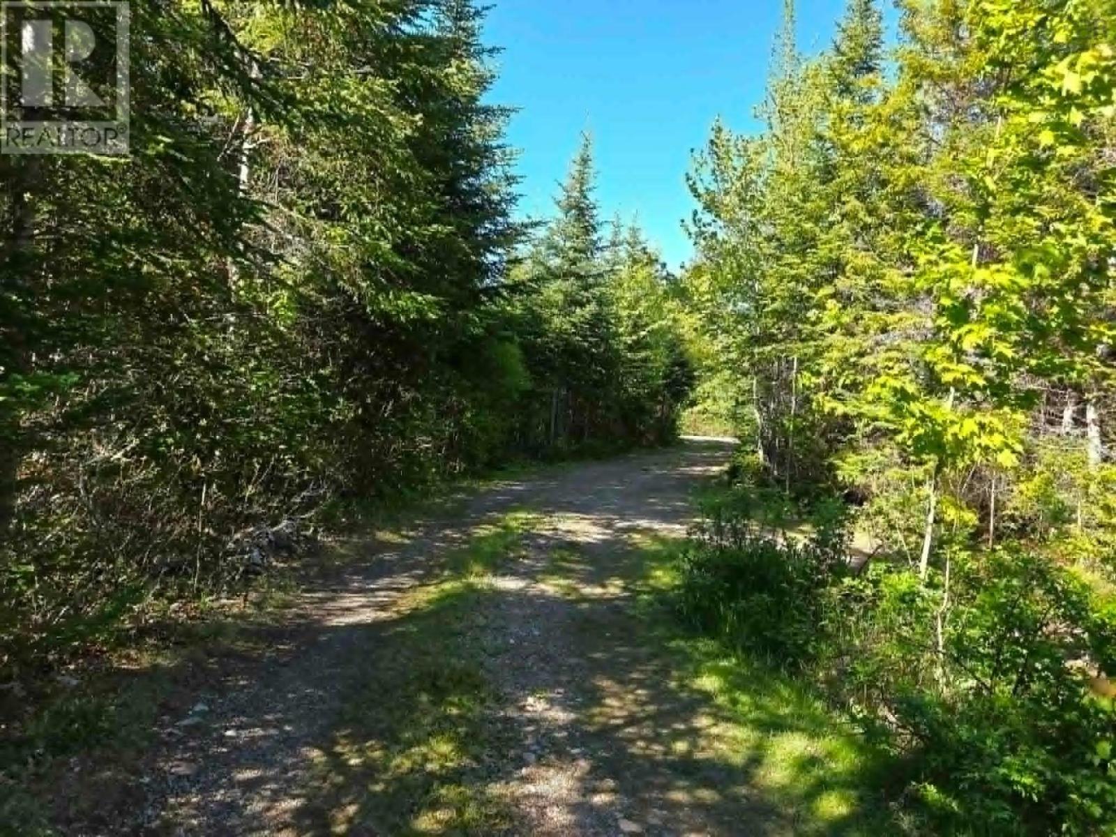 251 Bayview Drive, Little Dyke, Nova Scotia  B0M 1L0 - Photo 10 - 202614155