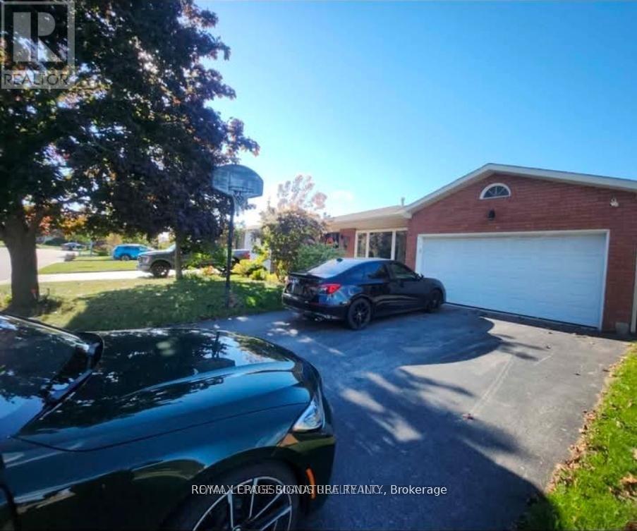 Bsmt - 304 Orsi Avenue, Bradford West Gwillimbury, Ontario  L3Z 1B7 - Photo 13 - N13634386