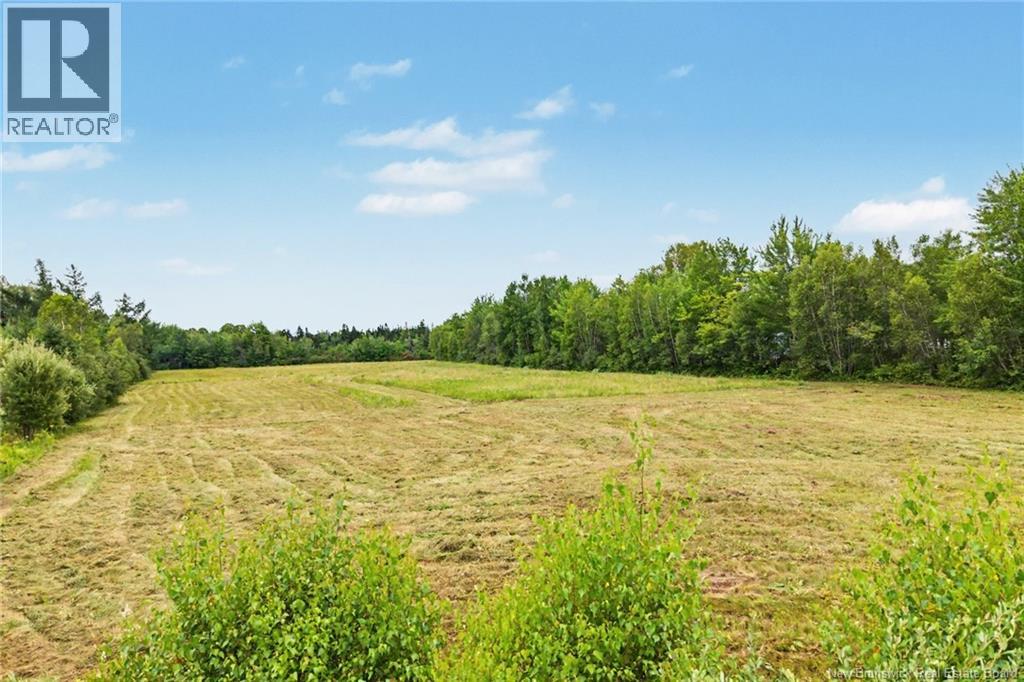 10852 Route 10, Youngs Cove, New Brunswick  E4C 2G1 - Photo 41 - NB144869