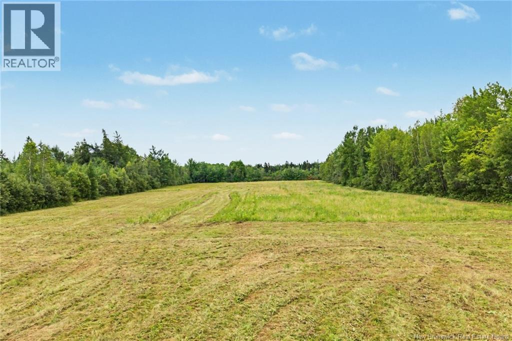 10852 Route 10, Youngs Cove, New Brunswick  E4C 2G1 - Photo 42 - NB144869