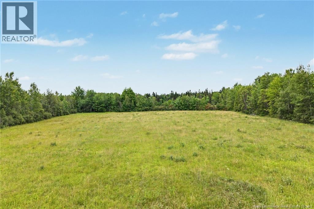 10852 Route 10, Youngs Cove, New Brunswick  E4C 2G1 - Photo 43 - NB144869