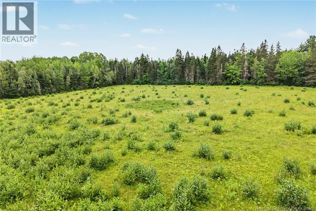 10852 Route 10, Youngs Cove, New Brunswick  E4C 2G1 - Photo 45 - NB144869