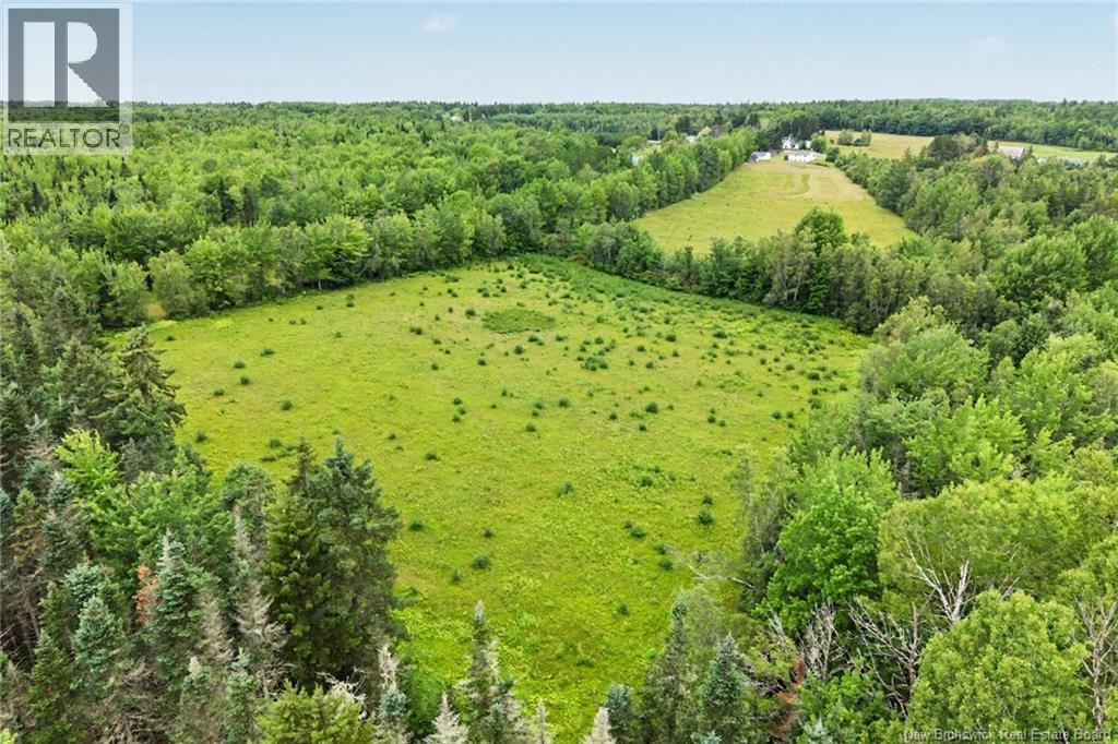 10852 Route 10, Youngs Cove, New Brunswick  E4C 2G1 - Photo 46 - NB144869