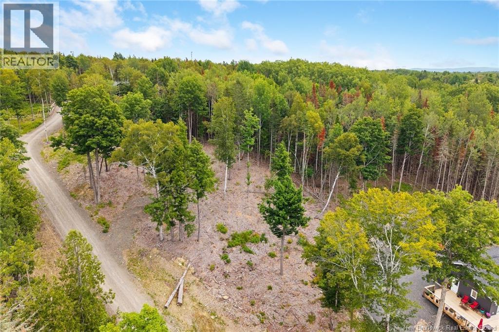 / Robert's Way, Keswick Ridge, New Brunswick  E6L 0C6 - Photo 10 - NB145160