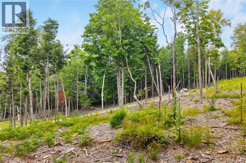 / Robert's Way, Keswick Ridge, New Brunswick  E6L 0C6 - Photo 16 - NB145160