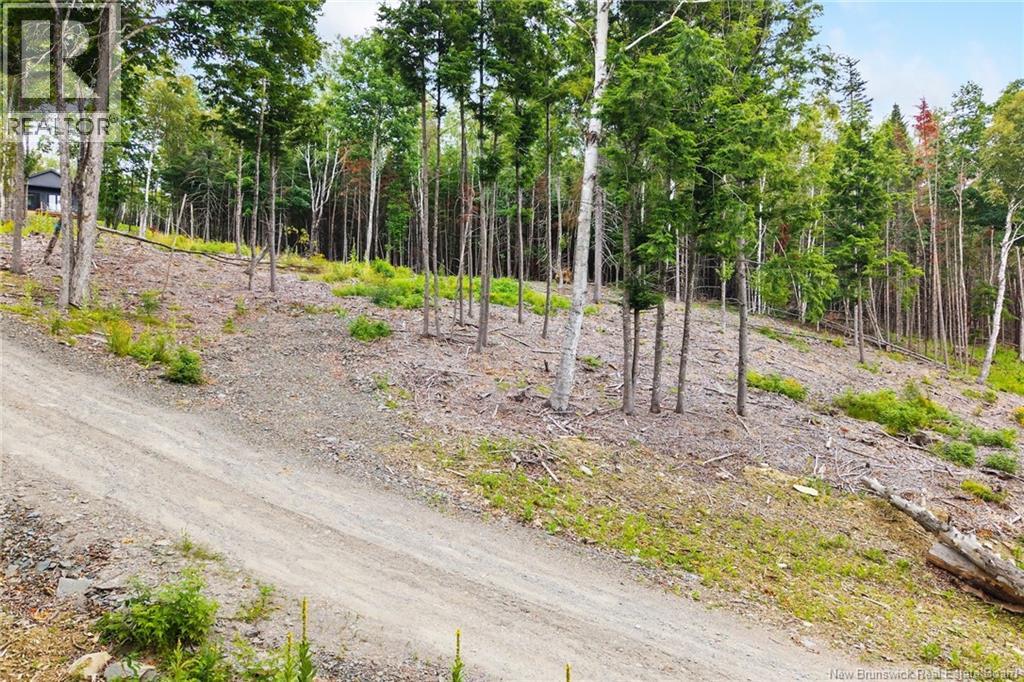 / Robert's Way, Keswick Ridge, New Brunswick  E6L 0C6 - Photo 13 - NB145160