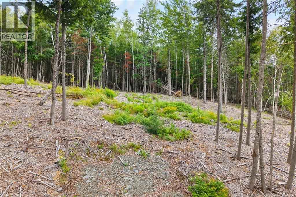/ Robert's Way, Keswick Ridge, New Brunswick  E6L 0C6 - Photo 14 - NB145160